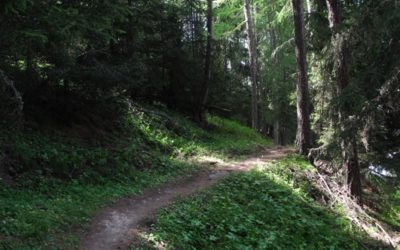 Alte Suon/Meigger Suon