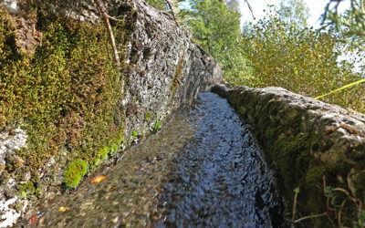 Bisse de Badneri