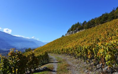 Bisse de Mengis