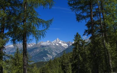 Bisse de Bodmeri – Niwa