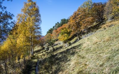 Bisse de Beitra