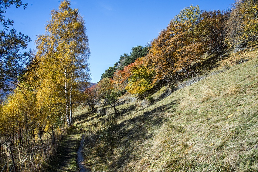 Bisse de Beitra