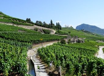Bisse de Clavau