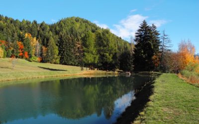 Bisse de Bitailla