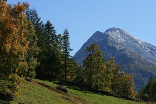 Suonen von Heuvete/Moosgufer