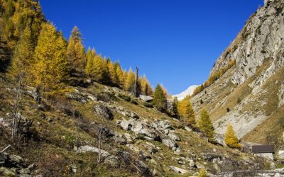 Bisses de Stigwasser, Wyssa et Oberschta