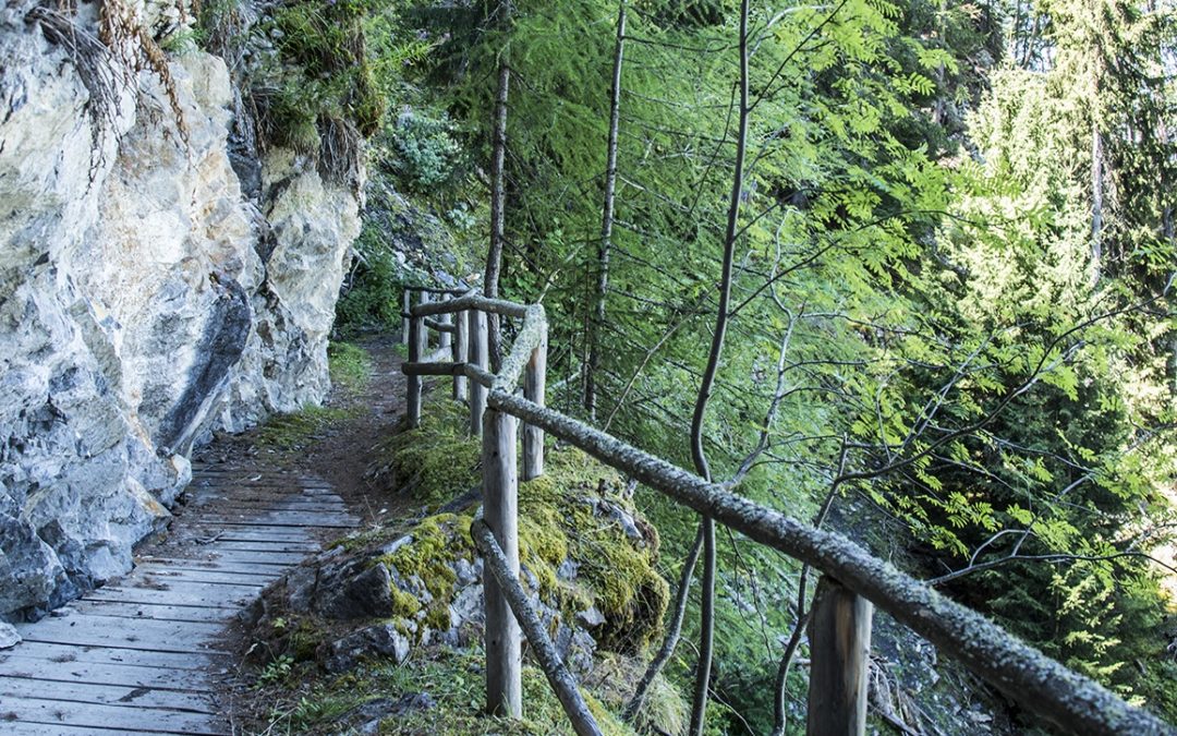Bisse de Saxon