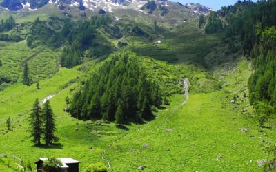 Bisse de Vercorin