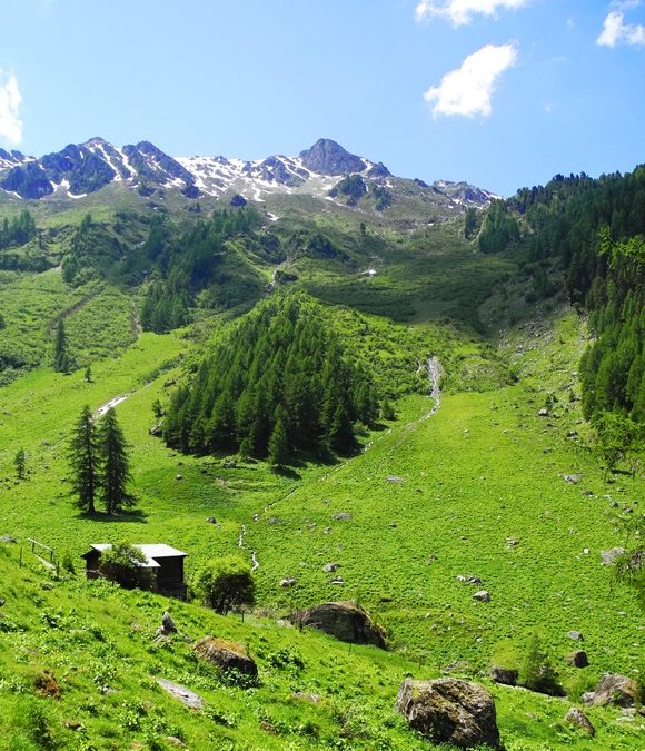 Bisse de Vercorin