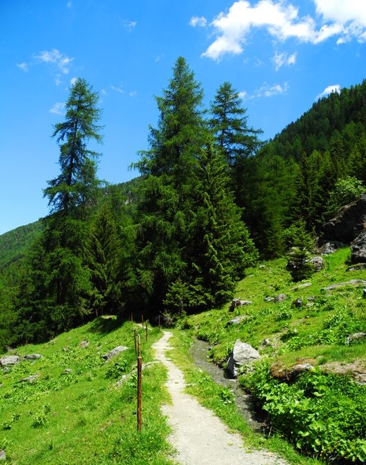 Bisse de Vercorin