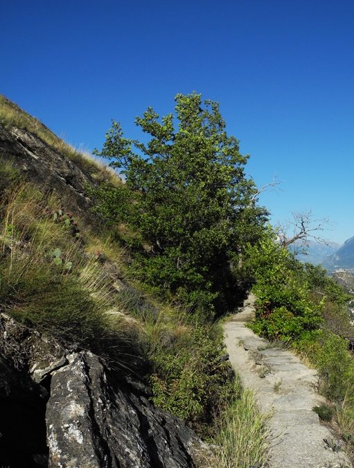Bisse de Mont d&rsquo;Orge