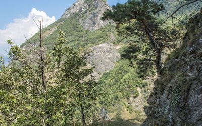Bisse de Ricard