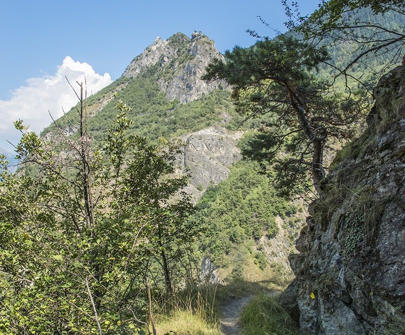 Bisse de Ricard