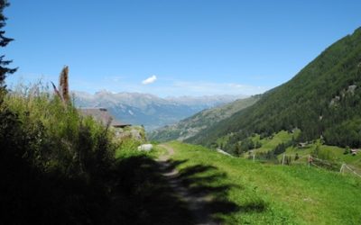 Bisse du Milieu