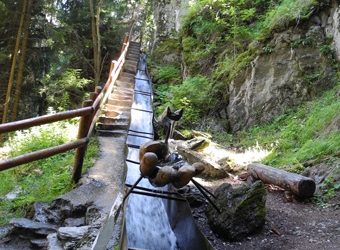Bisse Vieux