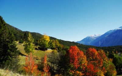 Bisse Neuf ou Bénou