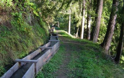 Bisse des Ravines