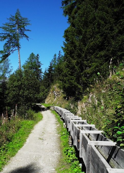 Bisse de Riederi