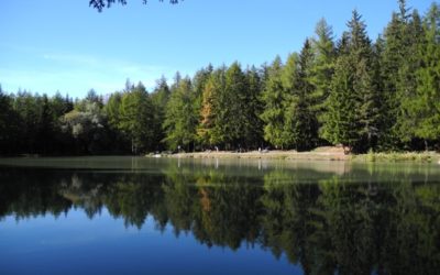 Bisse des Miriouges