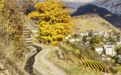 Bisse Siphon