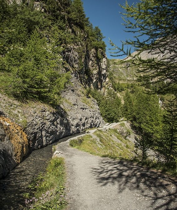 Suone von Tsittoret