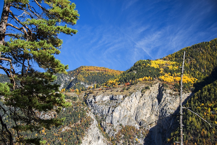 Bisse des Sarrasins