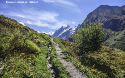 Bisse de Corbassière