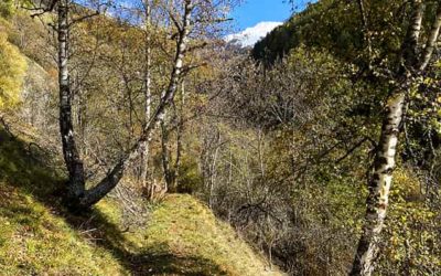 Bisses d’Ossona et Sevanne