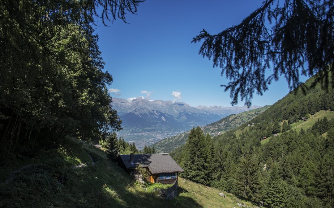 Grand Raid des Bisses